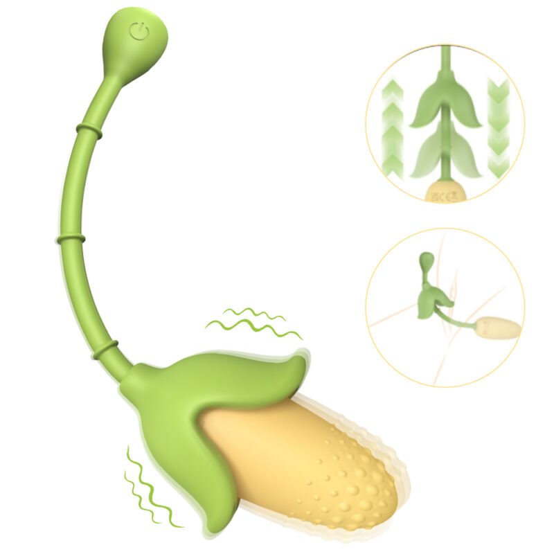 corn - white background