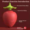 BerryBliss - function and control design