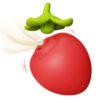 BerryBliss - white background product