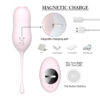 MIAOU-RCT - Magnetic Charging