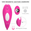 CARA - Magnetic Charging