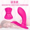 Butterfly-RCT - Magnetic-Charging