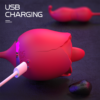 ROSSI-12 - USB charging