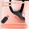 Lithwing - vibration and movement patterns