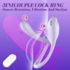 Luna Loop pro-2 - function and controls