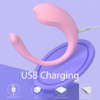 Whale Mini-RTC - USB charging