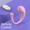Whale Mini-RTC - remote control