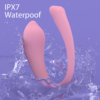 Whale Mini-RTC - waterproof illustration