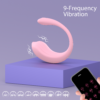 Whale Mini APP - mode illustration