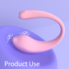 Whale Mini - usage illustration